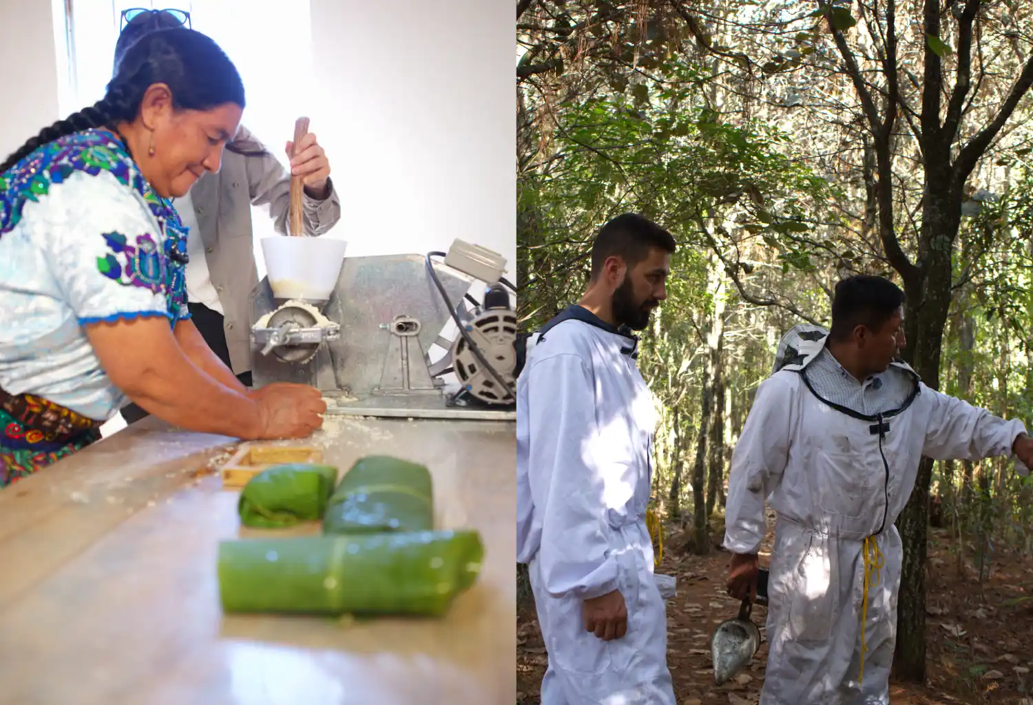 Miel & Productos Naturales 